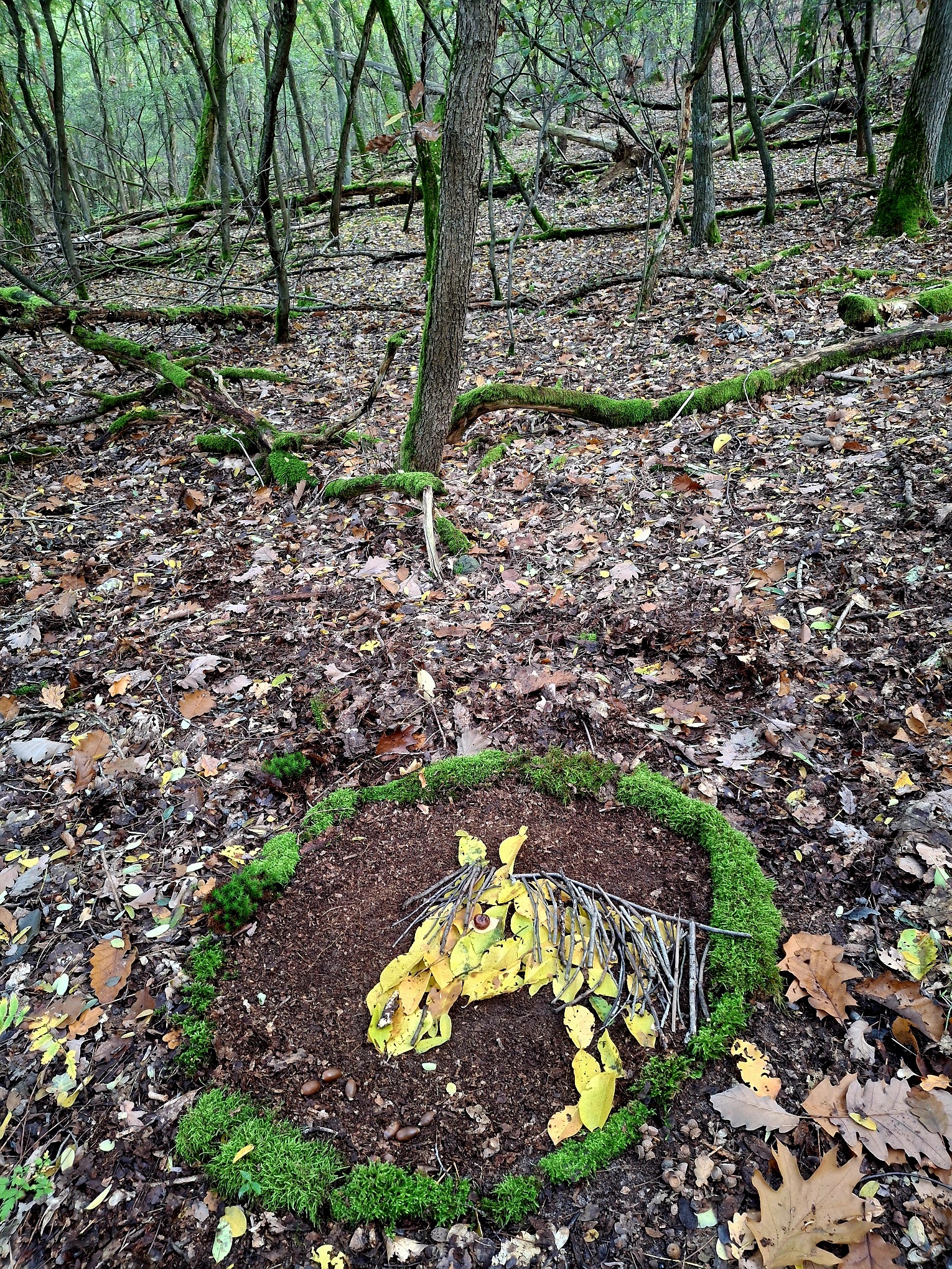 Waldbaden und LandArt. Hier ist ein Pferdekopf aus Naturmaterialien gelegtl